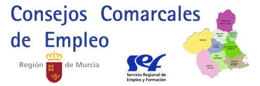 CONVOCATORIA CONSEJOS COMARCALES DE EMPLEO 2020