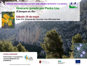 ITINERARIO GUIADO POR PIEDRA LISA