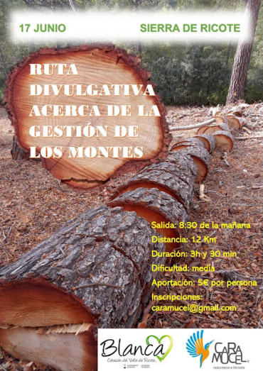 Ruta divulgativa sobre gestión forestal el 17 de junio en la Sierra de Ricote