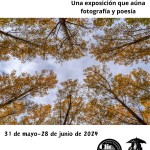 El sentido de la vida