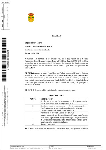 CONVOCATORIA PLENO